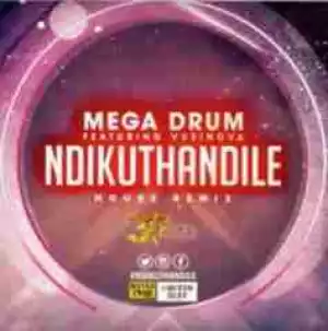 Mega Drum - Ndikuthandile (Remix) Ft. Vusi Nova